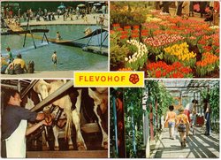 Kaart van Flevoland