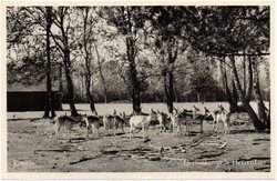 Kaart van Gelderland