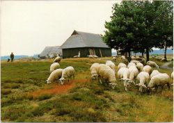 Kaart van Gelderland