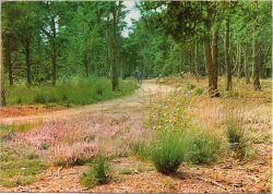 Kaart van Gelderland