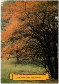 Kaart van Noord-Brabant