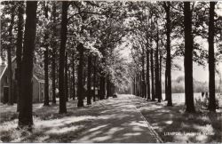 Kaart van Noord-Brabant