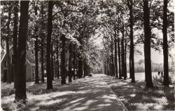 Kaart van Noord-Brabant