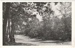 Kaart van Noord-Brabant