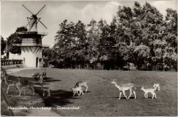 Kaart van Noord-Holland