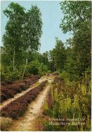 Kaart van Overijssel Kaart van Overijssel