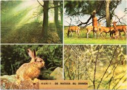 Kaart van Overijssel Kaart van Overijssel