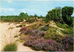 Kaart van Overijssel Kaart van Overijssel