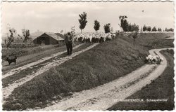Kaart van Zeeland Kaart van Zeeland