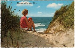 Kaart van Zuid-Holland