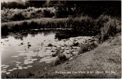 Kaart van Zuid-Holland